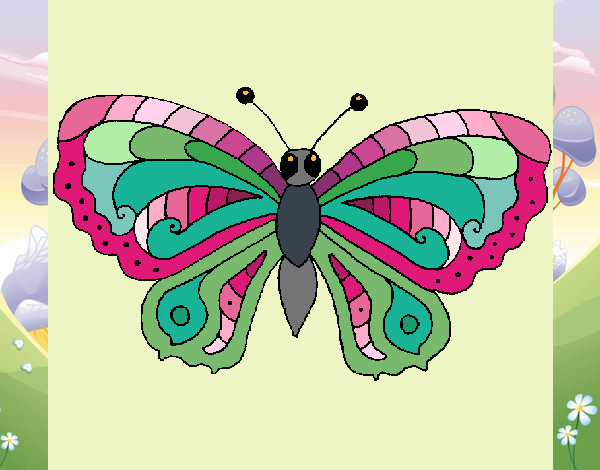 Butterfly 3a