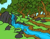 Coloring page Forest landscape with a river painted bynayrb