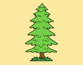 Coloring page Great fir tree painted byLornaAnia