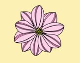Coloring page Daisy flower painted byLornaAnia