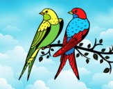 Coloring page Pair of birds painted byLornaAnia