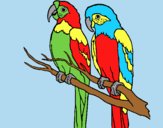 Coloring page Parrots painted byLornaAnia