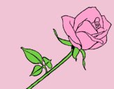 Coloring page Rose painted byLornaAnia
