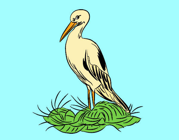 Stork and nest