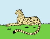 Coloring page Cheetah resting painted byLornaAnia