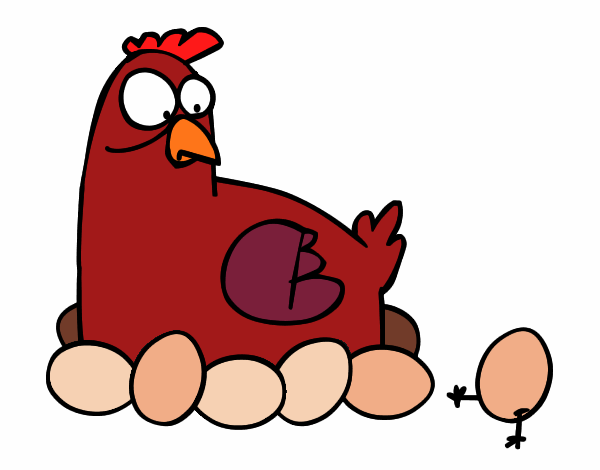 Incubating chicken