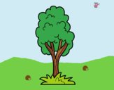 Coloring page A park tree painted byLornaAnia