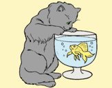 Coloring page Cat watching fish painted byLornaAnia