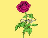 Coloring page A rose painted byLornaAnia