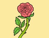 Coloring page Wild rose painted byLornaAnia