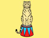 Coloring page Tiger of circus painted byLornaAnia