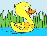 Coloring page River duck painted byJessicaB