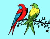 Coloring page Pair of birds painted byLornaAnia