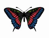 Great Mormon Butterfly
