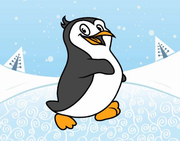 An antarctic penguin