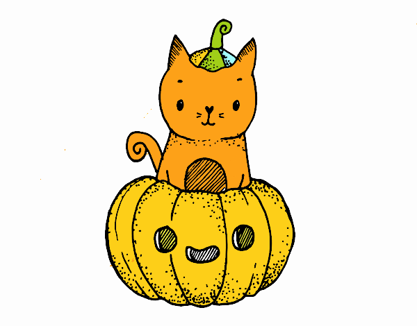 A Halloween kitten
