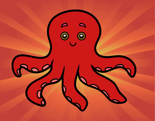 Childrish octopus