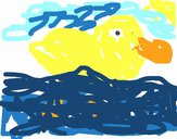 River duck