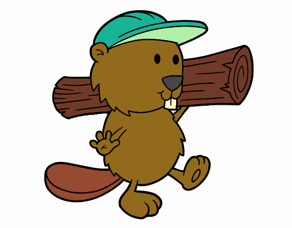 Beaver with cap