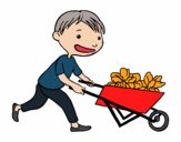 Boy with cart