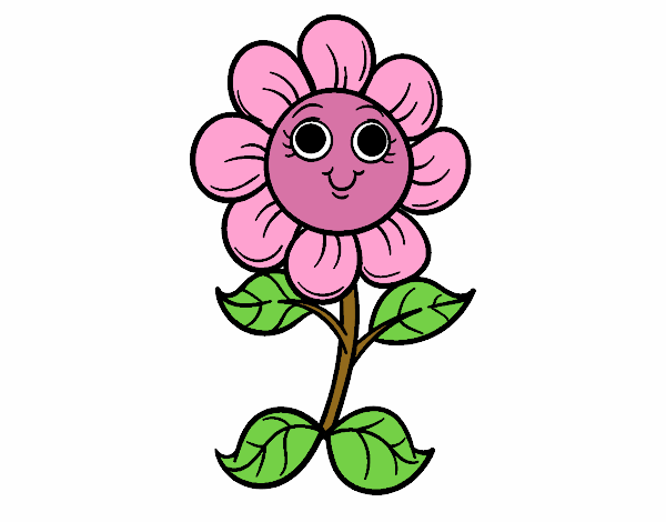 A little flower