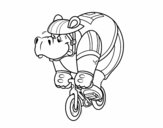 Cyclist hippopotamus