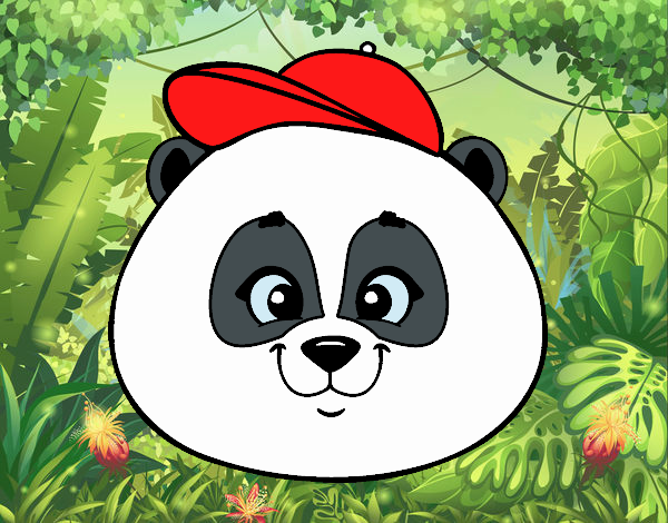 Panda face with hat