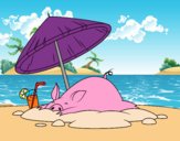 Piglet on the beach