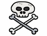 Pirate skull