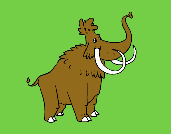 A Mammoth