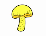 One mushroom