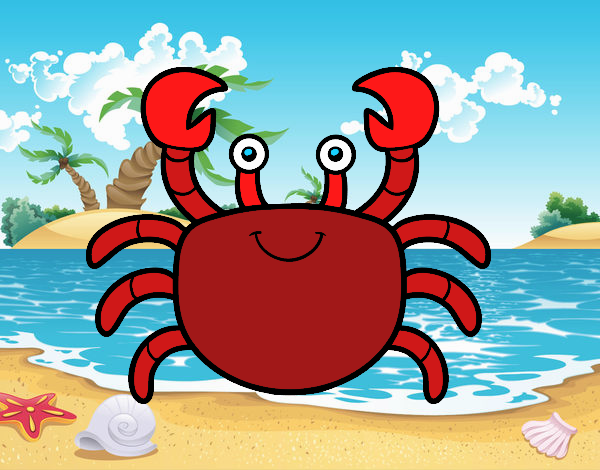 crab at the seashore