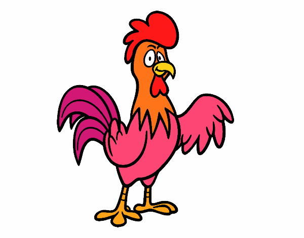A free-range rooster
