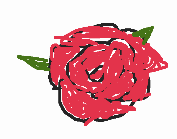 Ruby red rose