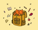 Cat in a backpack
