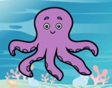 Childrish octopus