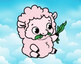 Baby sheep