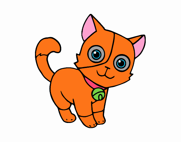 Orange Kitten 