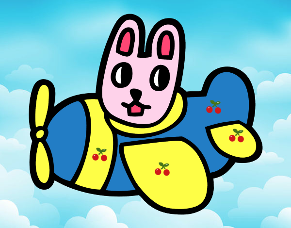 Rabbit in plane