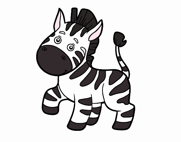 An African zebra