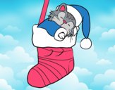 Kitten sleeping in a Christmas stocking