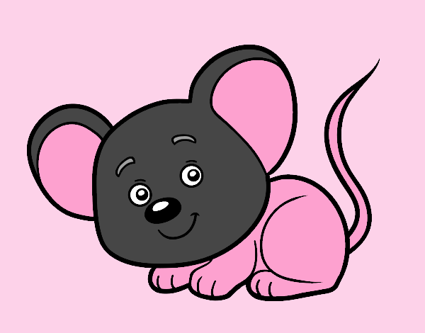 A little mouse