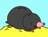 Mole lying down
