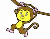 Monkey hanging from a branch