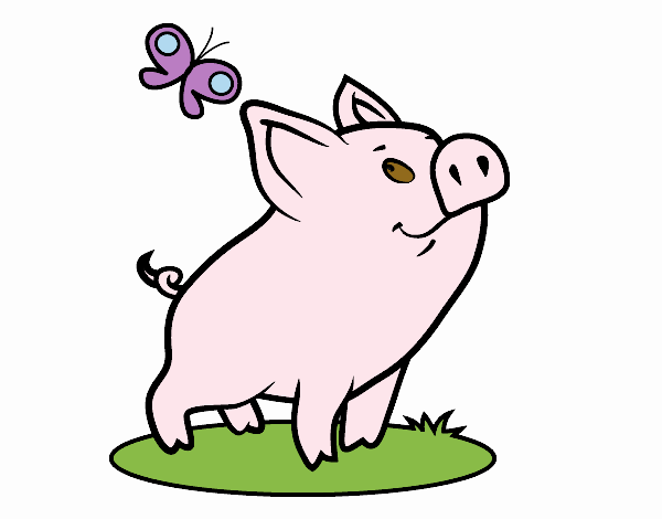 Piggy and butterfly