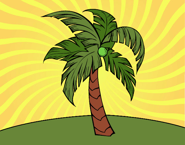 the palm
