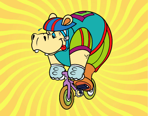 Cyclist hippopotamus