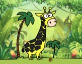 The afican giraffe