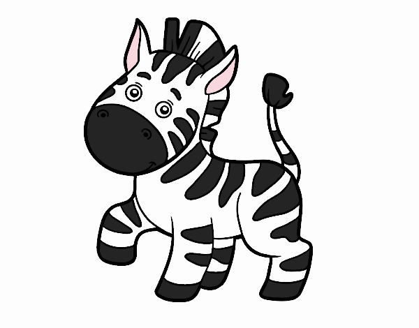 An African zebra