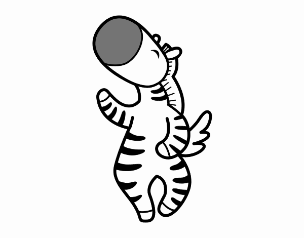 Dancing zebra